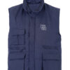 Lion-00110-blue-750