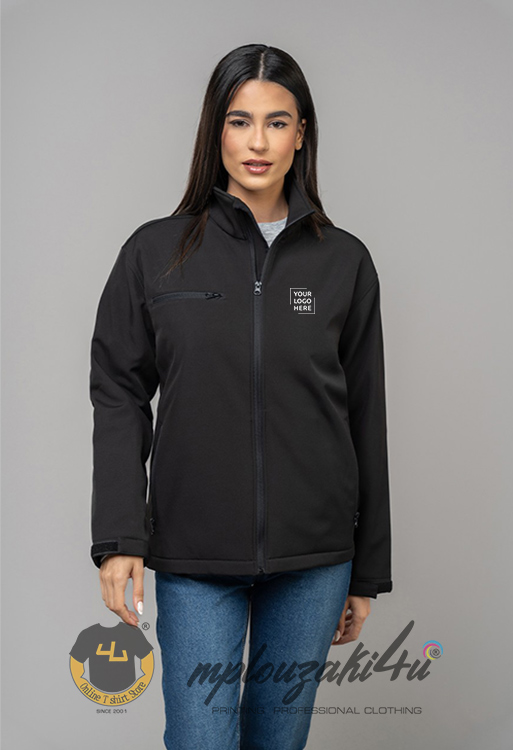layer-00219-model2